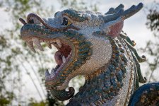 dragon-lion-2.jpg