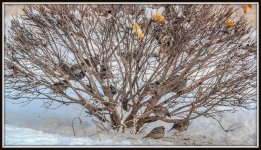 DSC_5101.jpg