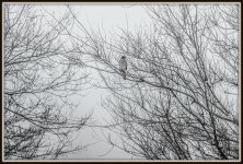 DSC_5096.jpg