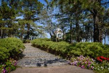 top-of-the-hill-1.jpg