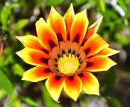 _ROY3245_00001.jpg