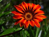 _ROY3265_00001.jpg