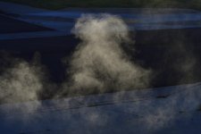 _ROY3272_00001.jpg