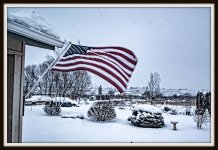 DSC_1981-Edit-001.jpg