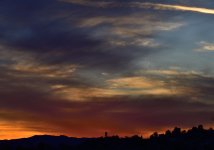 _ROY3348_00001.jpg