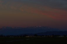 _ROY3350_00001.jpg