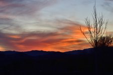 _ROY3357_00001.jpg