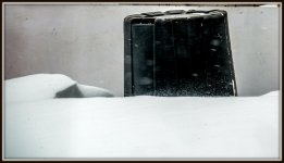 DSC_5113.jpg