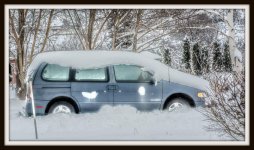 DSC_2661.jpg