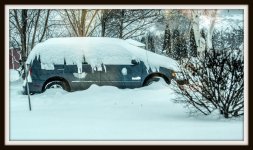DSC_5110.jpg