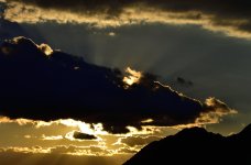 _ROY3547_00001.jpg