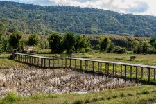 bridge-2.jpg