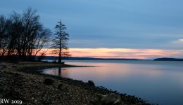 R81_1567.jpg