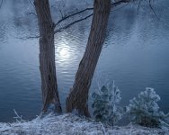 DSC_6996.jpg