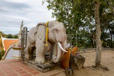 elephant-1.jpg