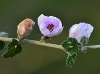 _ROY3722_00001.jpg