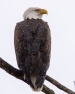 RLW_7707.jpg