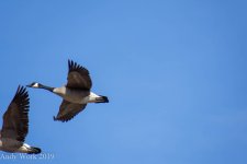 A72_6320.jpg