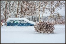 DSC_3053.jpg