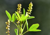 _ROY3757_00001.jpg