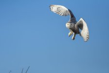 DSC_3325.jpg