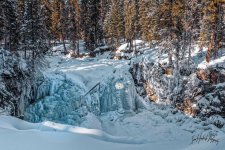 _IH83085 2.jpg