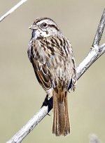 _ROY4034_00001.jpg