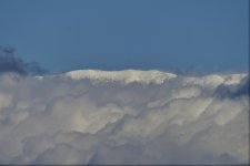 _ROY4062_00001.jpg