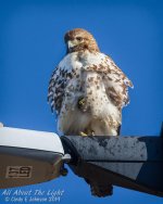 _NIK0166 edit low res.jpg