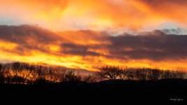 BosqueSunset-400.jpg