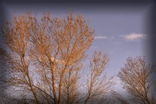 02-16-19-cr__7509021.jpg