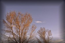 02-16-19-cr__7509022.jpg