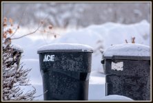 DSC_3437.jpg