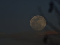 _ROY4369_00001.jpg
