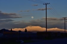_ROY4373_00001_01.jpg