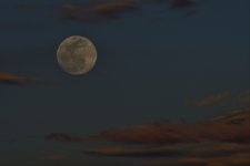 _ROY4380_00001.jpg