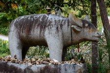 stone-baffalo-1.jpg