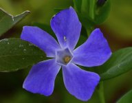 _ROY4438_00001.jpg
