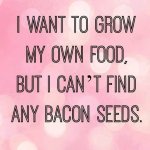 acdebdda8577a636318bc8ac31cf0cac--bacon-quotes-funny-food-quotes.jpg