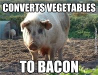Converts-Vegetables-To-Bacon-Funny-Pig-Humor.jpg