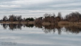 _DSC9233 low res.jpg