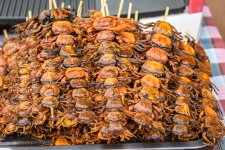 crabs-1.jpg