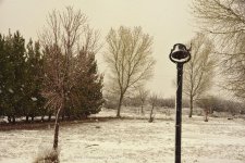 02-22-19-cr__7509045.jpg