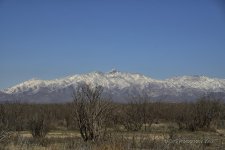 02-23-19-cr__7509054.jpg