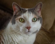 DSC_7261.jpg