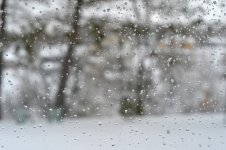 DSC_7263.jpg
