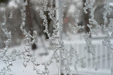 DSC_7266.jpg