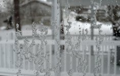 DSC_7273.jpg