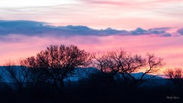 BosqueSunrise-410.jpg