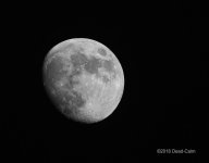 moon FR 500_6223.jpg